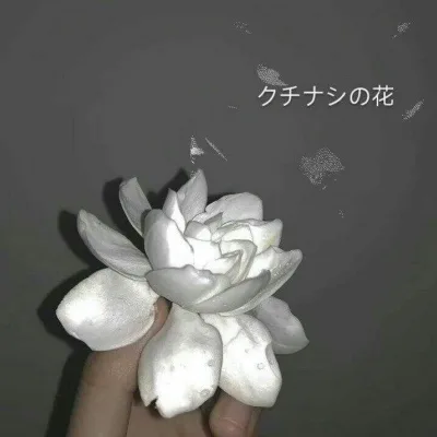 Aesthetic avatar aes 004