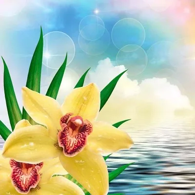 Aesthetic avatar aes 013