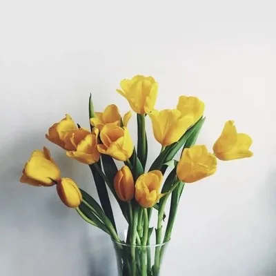 Aesthetic avatar aes 025