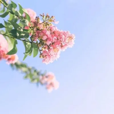 Aesthetic avatar aes 028