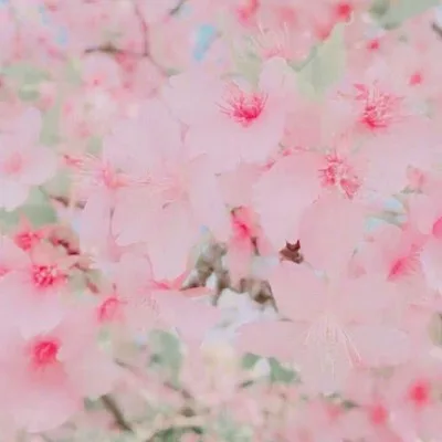 Aesthetic avatar aes 049