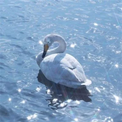 Aesthetic avatar aes 059