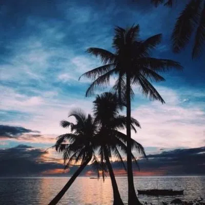 Aesthetic avatar aes 063