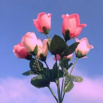 Aesthetic avatar aes 070