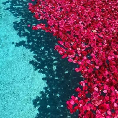 Aesthetic avatar aes 071