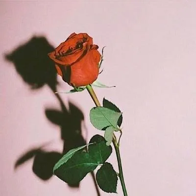Aesthetic avatar aes 075