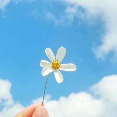 Aesthetic avatar aes 085