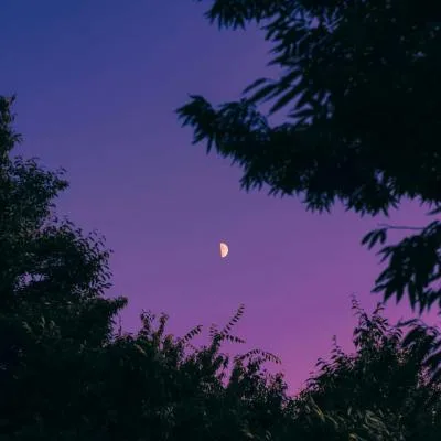 Aesthetic avatar aes 087