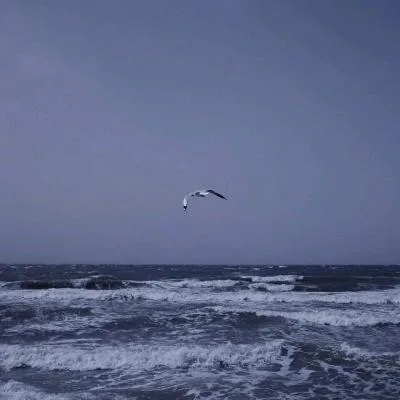 Aesthetic avatar aes 089
