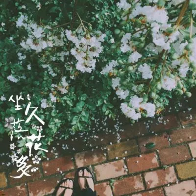 Aesthetic avatar aes 094