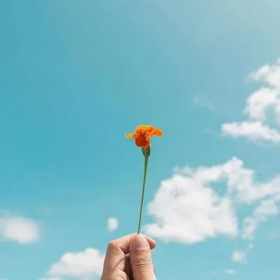 Aesthetic avatar aes 101