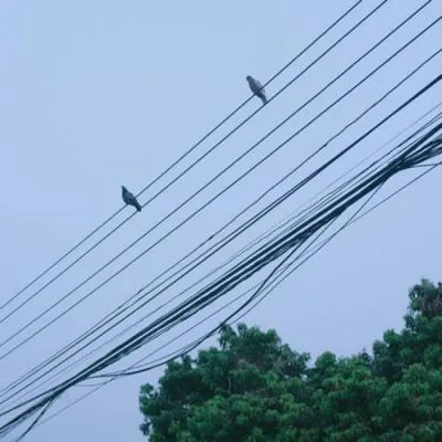 Aesthetic avatar aes 106
