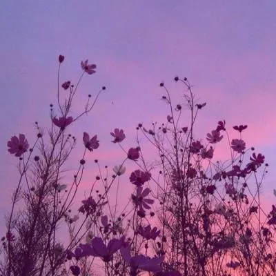 Aesthetic avatar aes 109
