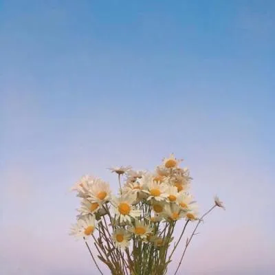 Aesthetic avatar aes 114