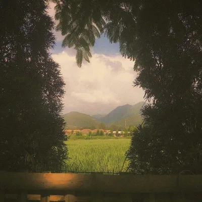 Aesthetic avatar aes 141