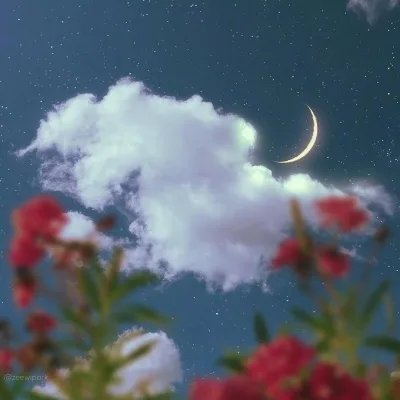 Aesthetic avatar aes 187