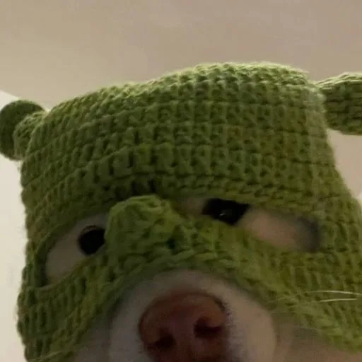 Animals avatar pet 060